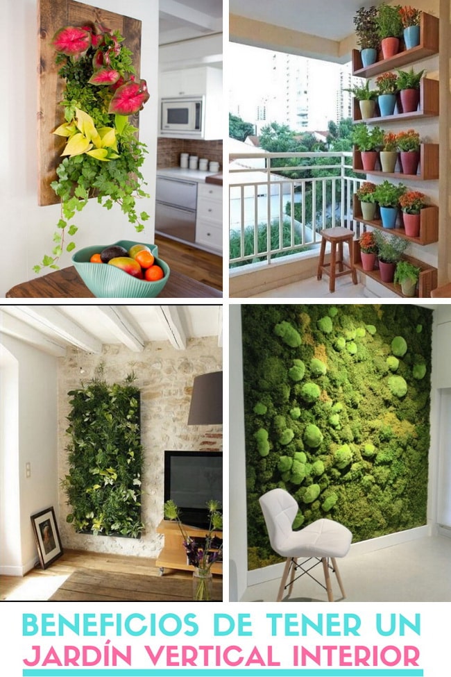 Jardín vertical interior