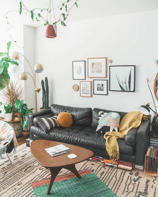 Plantas y cuadros para decorar