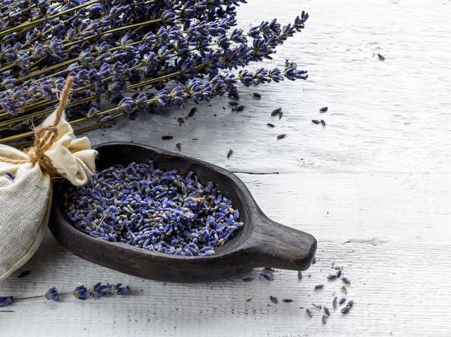 Lavanda para dar buen olor a la casa