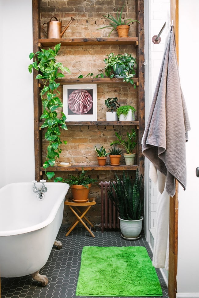 Baños con plantas Ideas para decorar el baño
