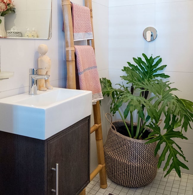 Orquídeas en el cuarto de baño Plantas para decorar el baño