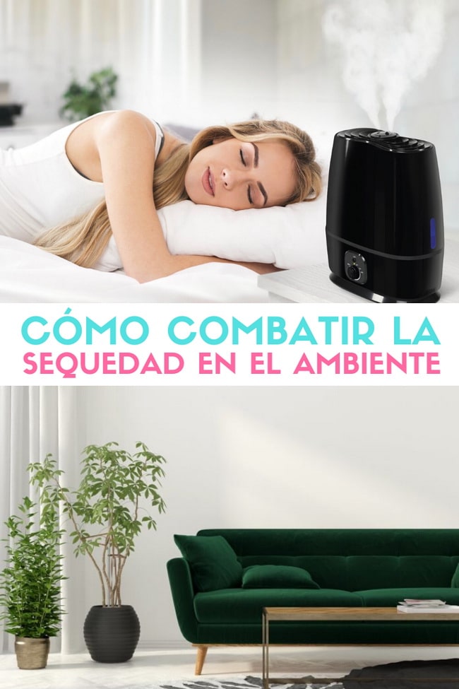 Combatir la sequedad en el ambiente de tu casa