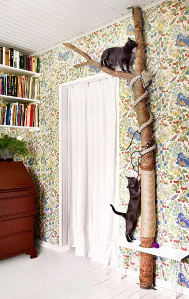 Decoración para gatos