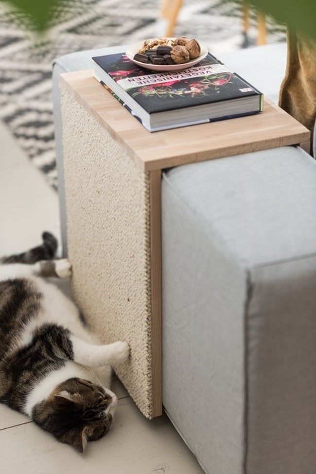 Decoración para gatos