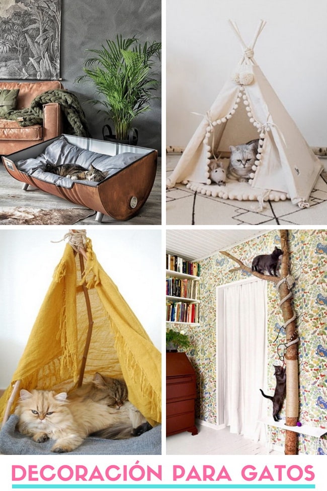 Decoración para gatos