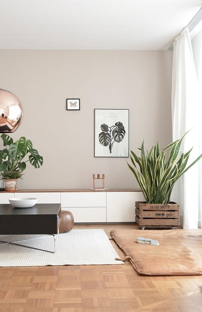 Paredes color beige