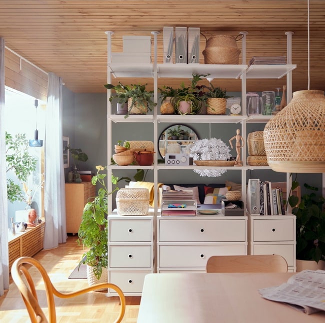 Plantas en interiores