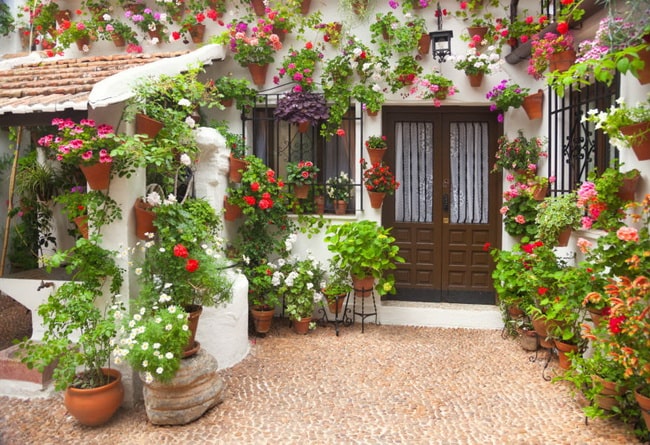 Decoración con geranios y otras flores