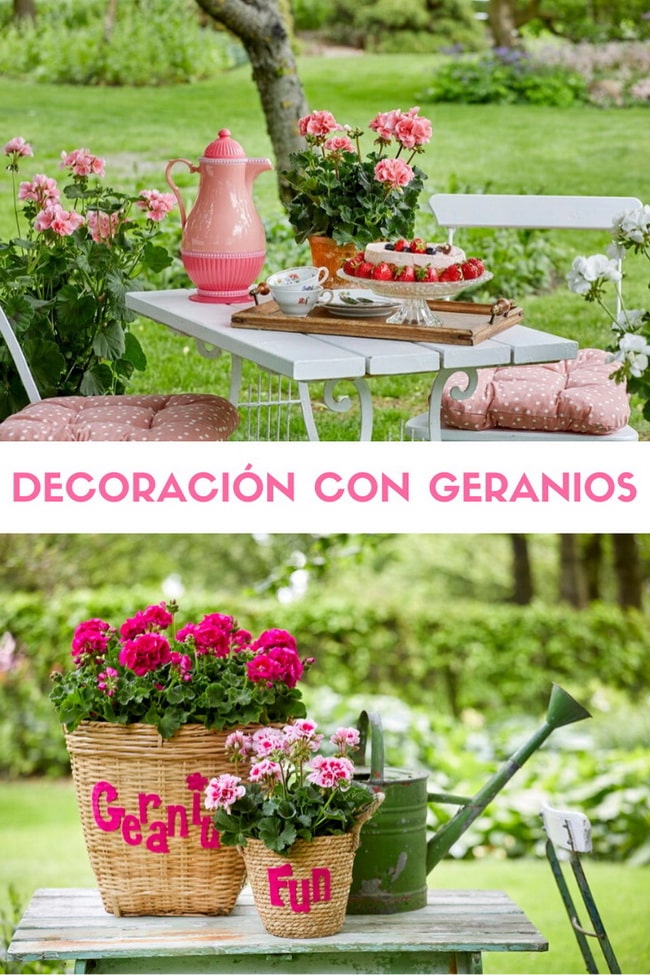 Decoración con geranios