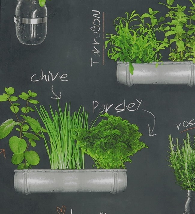 Pared de pizarra y plantas aromáticas