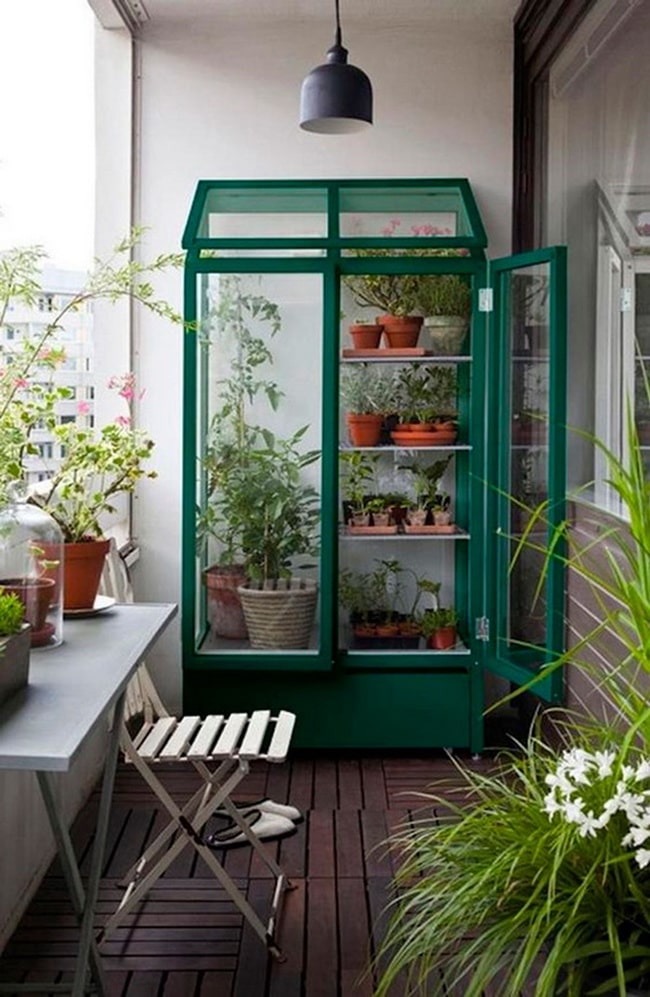 Vitrinas con plantas aromáticas