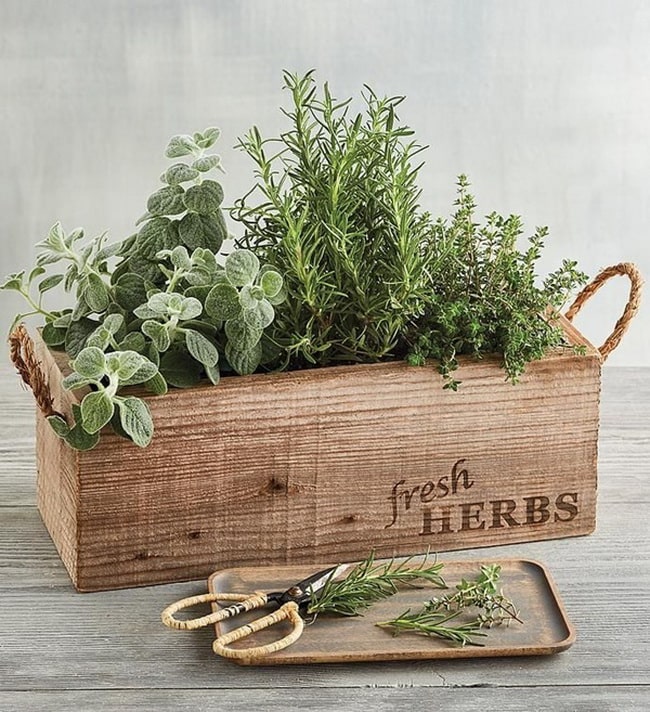 Cómo crear un huerto aromático en cajas de madera