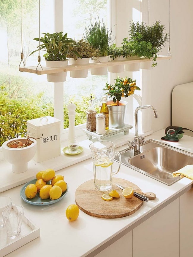 Cómo crear un huerto aromático en la cocina