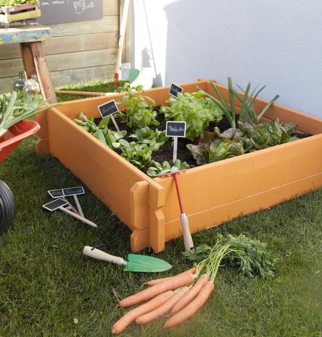Caja de cultivo