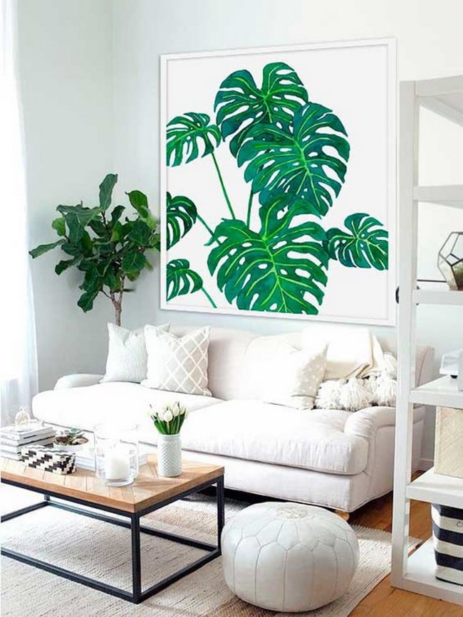 Monstera Delicisa en posters