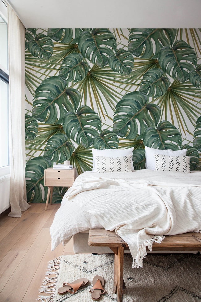 Papel pintado de Monstera Deliciosa o Costilla de Adán