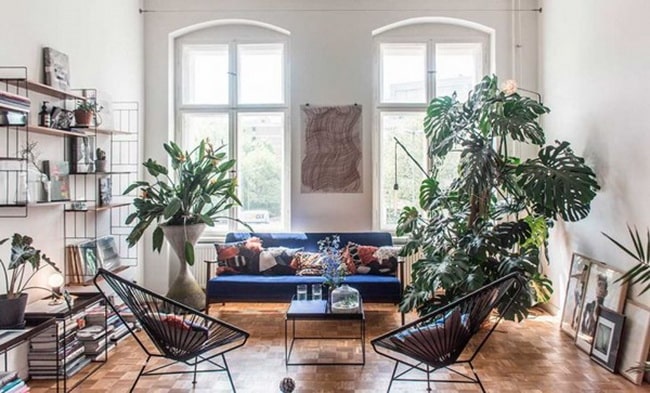 Ideas para decorar con Monstera Deliciosa