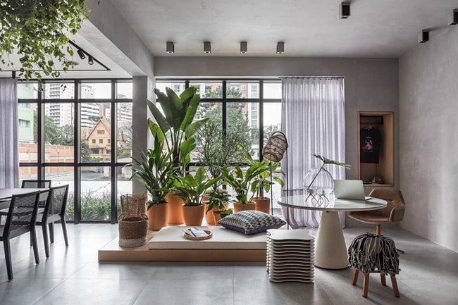 Plantas de interior