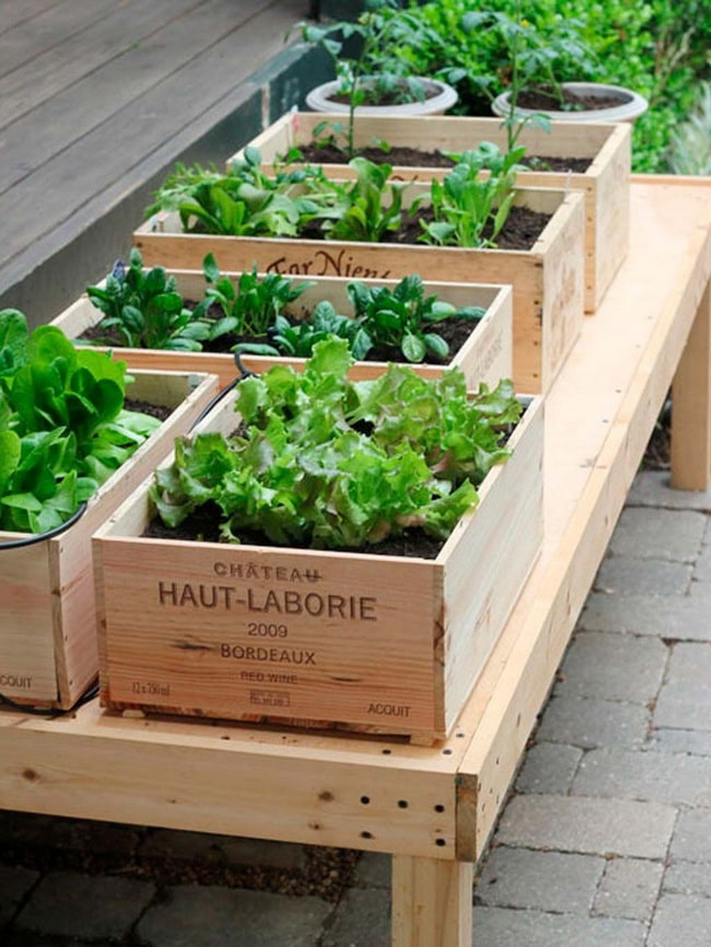 Un huerto urbano en el jardín