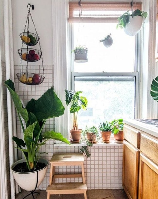 Decoración Home Detox