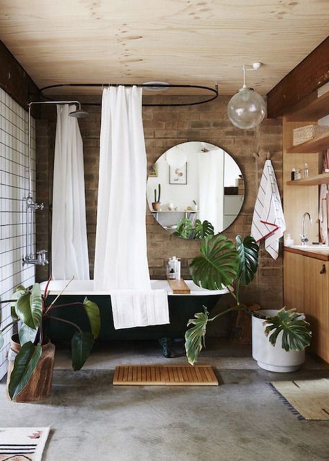 Plantas en el baño