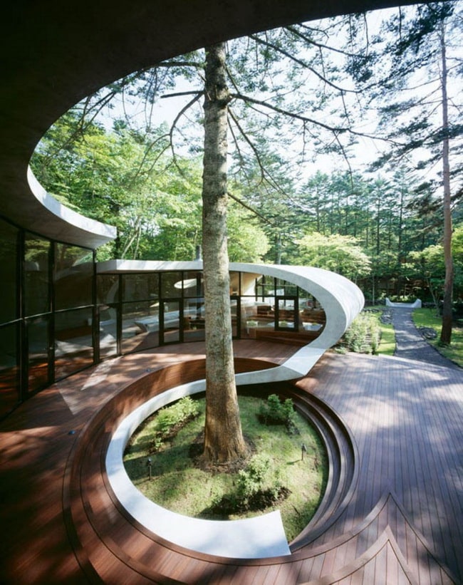 Arquitectura orgánica