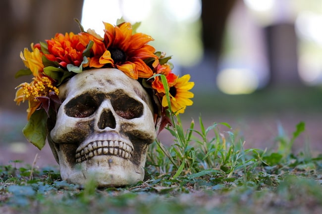 Calaveras de Halloween