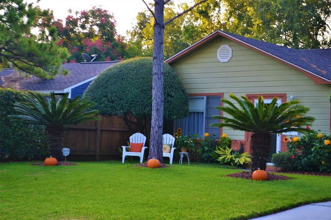 Decoración de Halloween