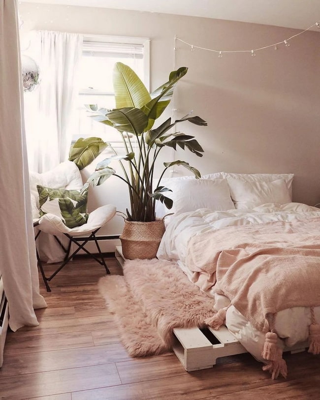 Plantas en dormitorios