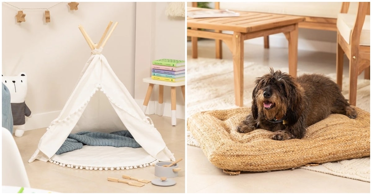 Accesorios para mascotas que complementarán tu decoración