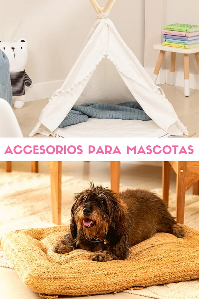 Accesorios para mascotas