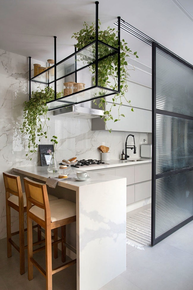 Plantas en la cocina