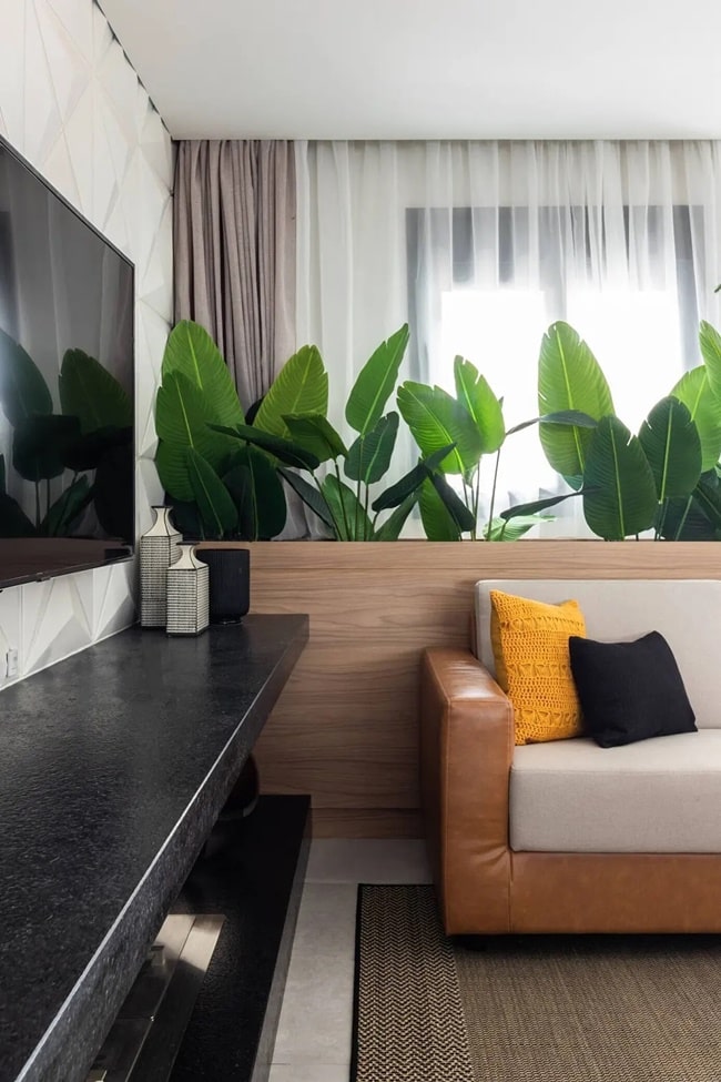 Una casa moderna con toques tropicales
