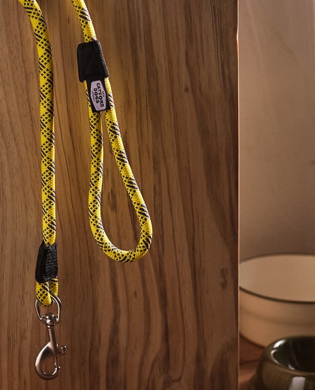 Collares de nylon para mascotas