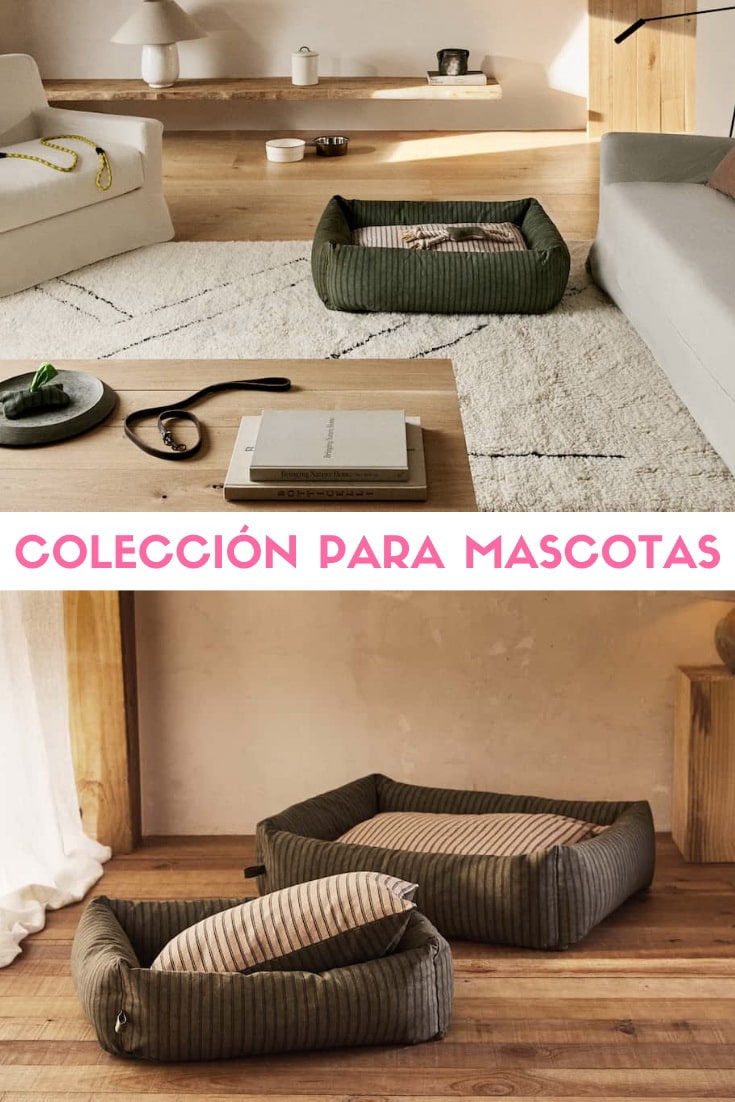 Colección para mascotas