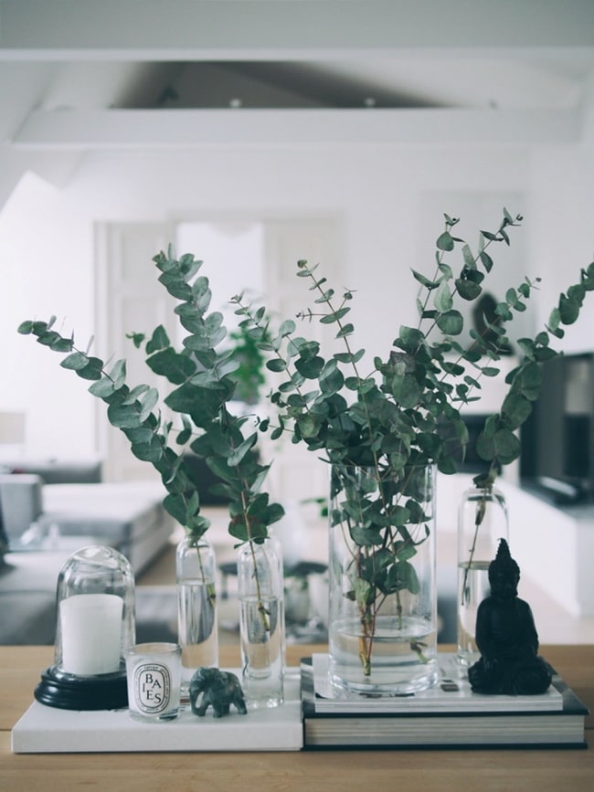 Ramas de eucaliptus en tarros de cristal