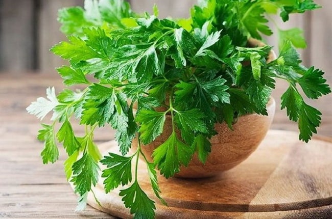 Las mejores plantas aromáticas de interior