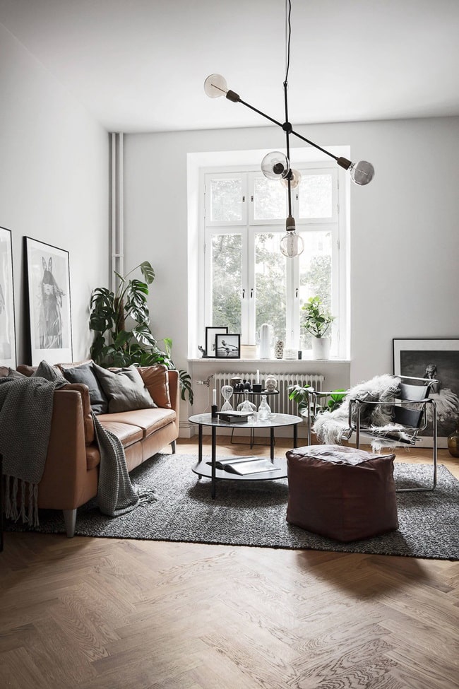 Plantas para conseguir un salón neutro