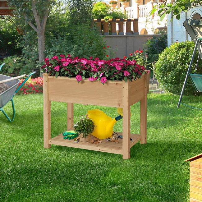 Plantas con flor
