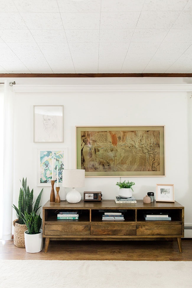 Sansevieria en interiores