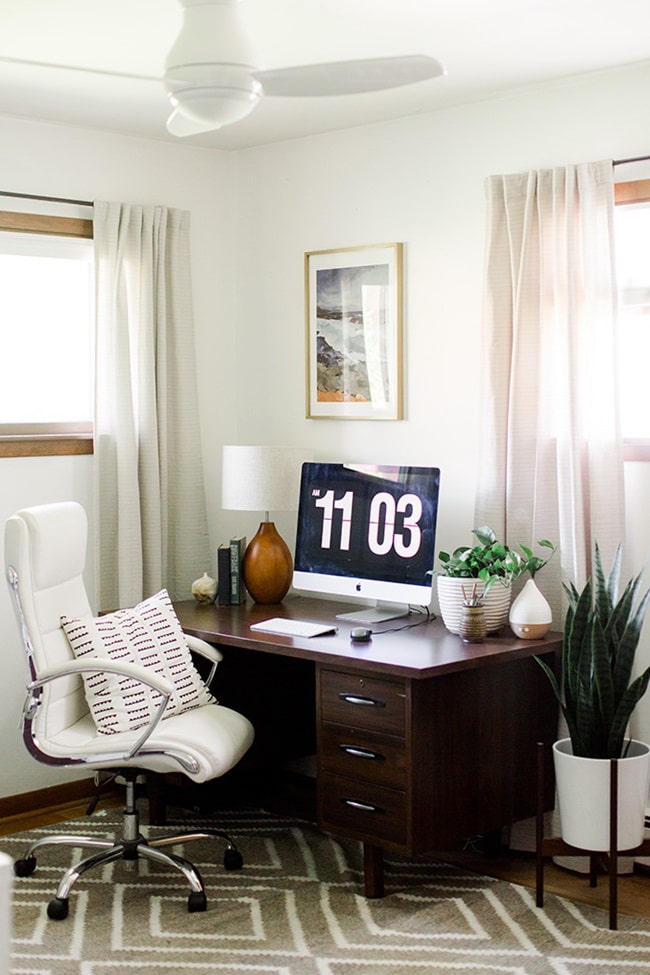 Plantas de interior tendencia