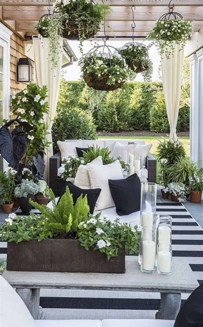 Plantas colgantes para decorar exteriores