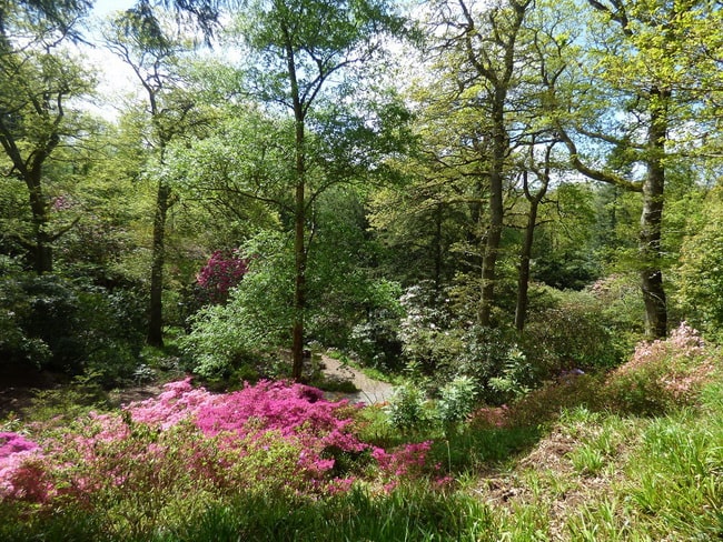 Tendencias en jardines
