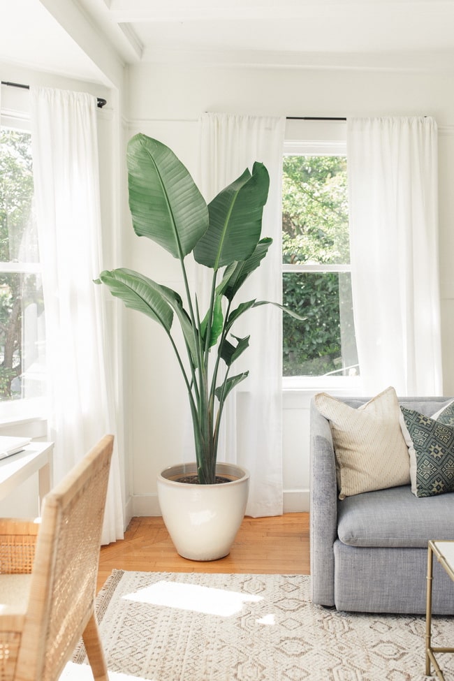 Cómo influye la decoración en tu estado de ánimo