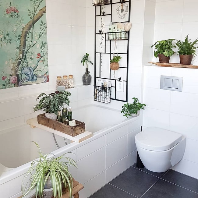 Plantas en el baño