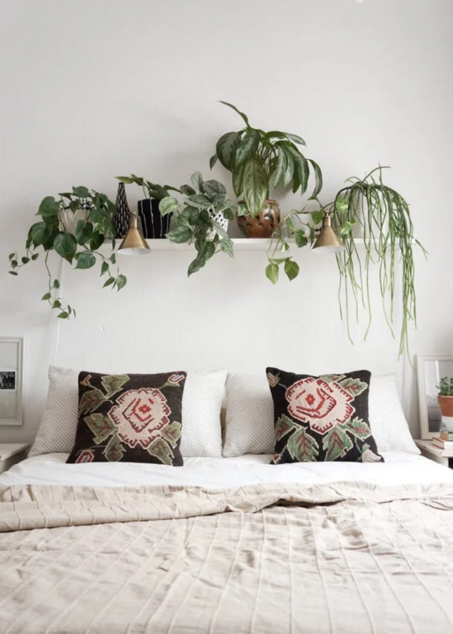 Plantas en dormitorios
