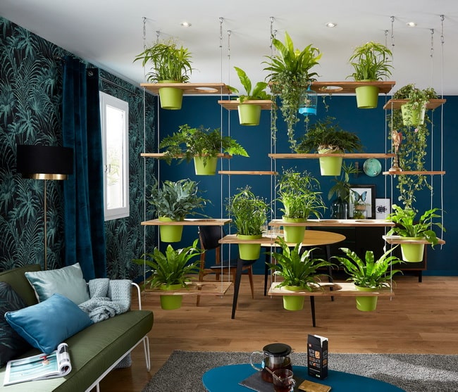 Plantas colgando en el centro del salón