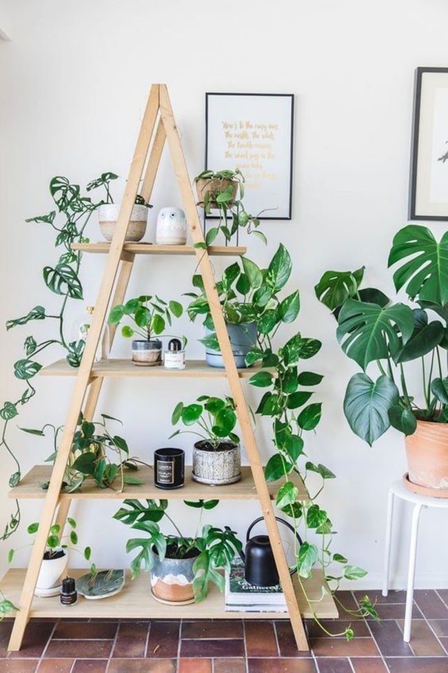 Estantería para plantas de interior