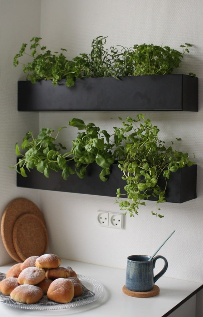 Maceteros para pequeñas plantas