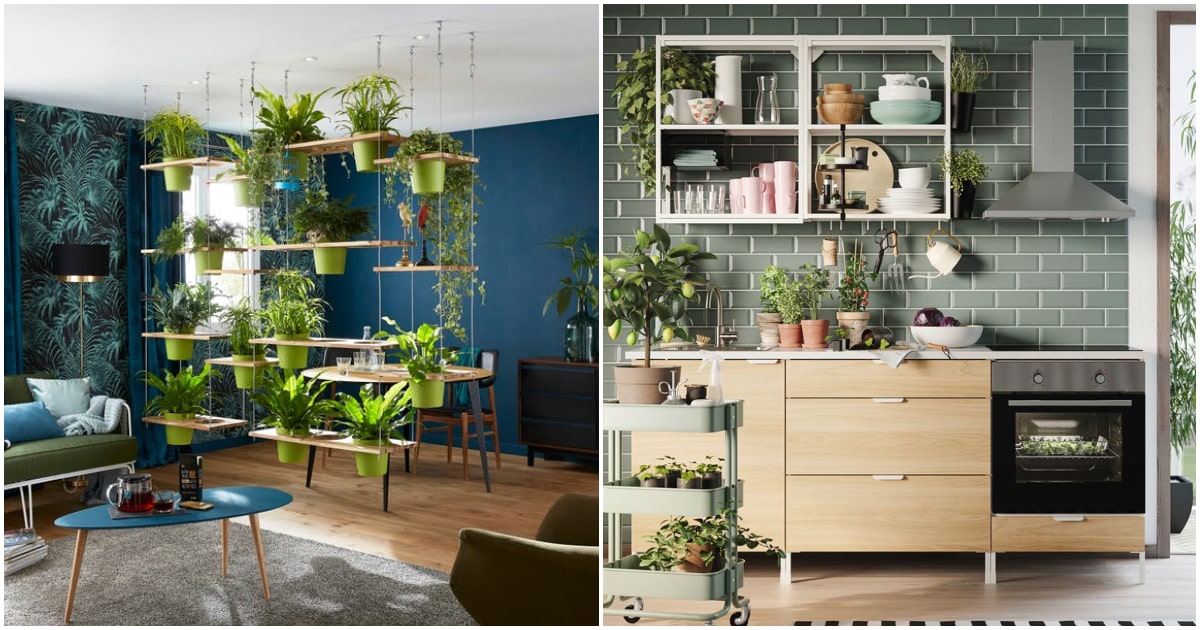 Cómo decorar tu casa con plantas
